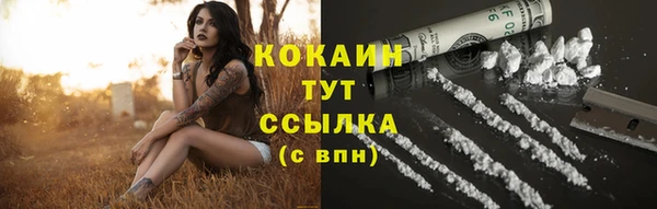 СК Верея