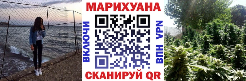 дарнет шоп omg tor мориарти наркотические препараты Качканар Канабис сатива